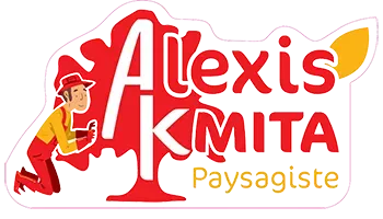 alexis_kmita