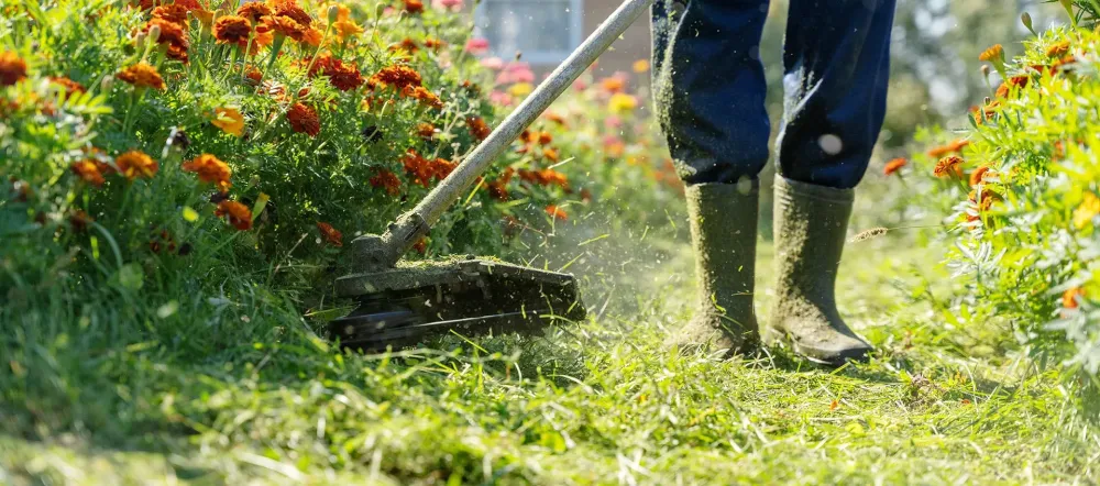rénovation de jardins à Ballay