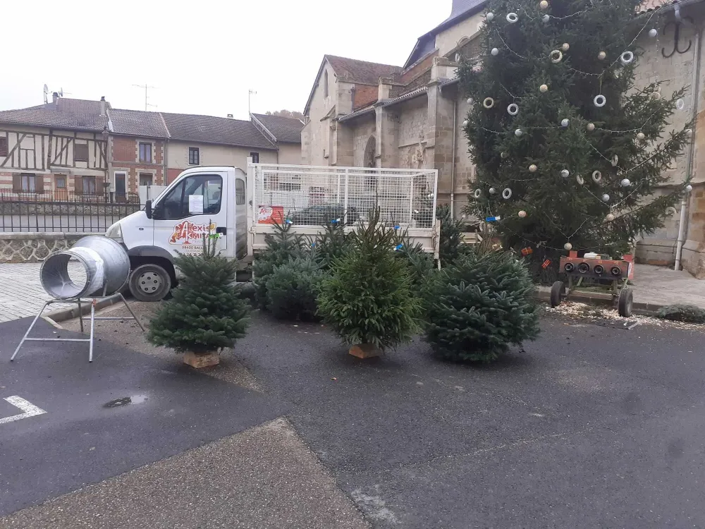 sapins de Noël
