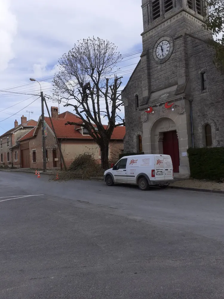 Elagage et abattage (5)