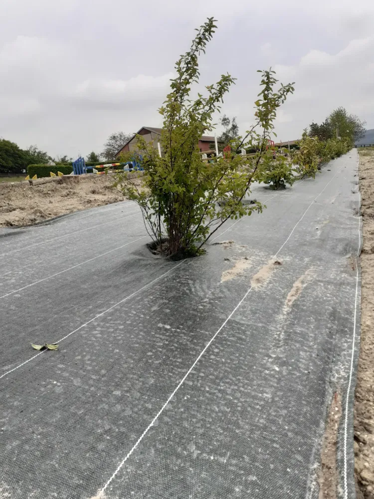 création et entretien (40)